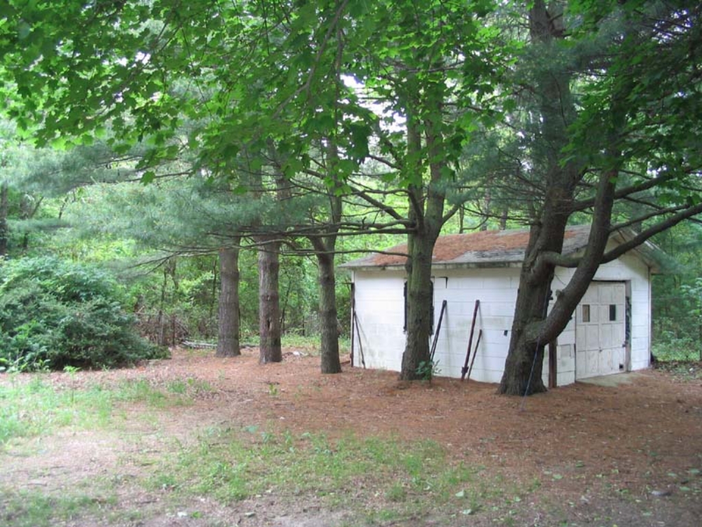 yard_005.jpg
